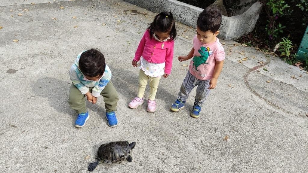 Cuidado de la naturaleza